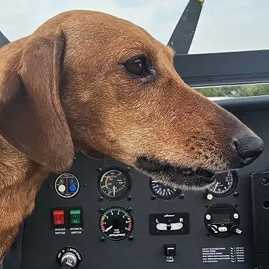 esperienza di volo con piloti esperti in piemonte, asti, torino, alba e cuneo